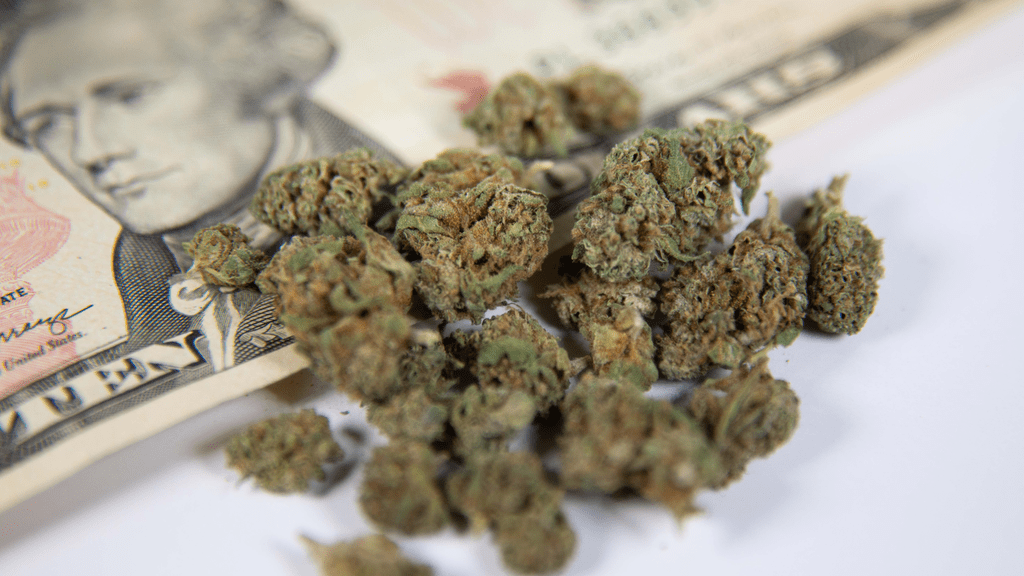 Breaking Down the Investment in Cannabis Tracking Infrastructure